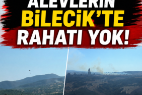 alev