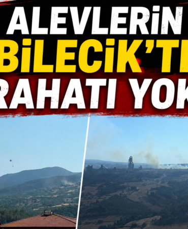 alev