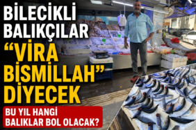 balık