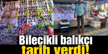 balık