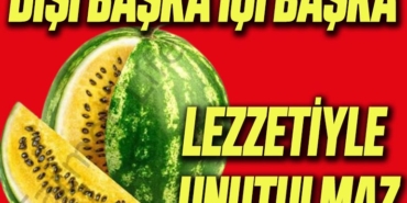bb