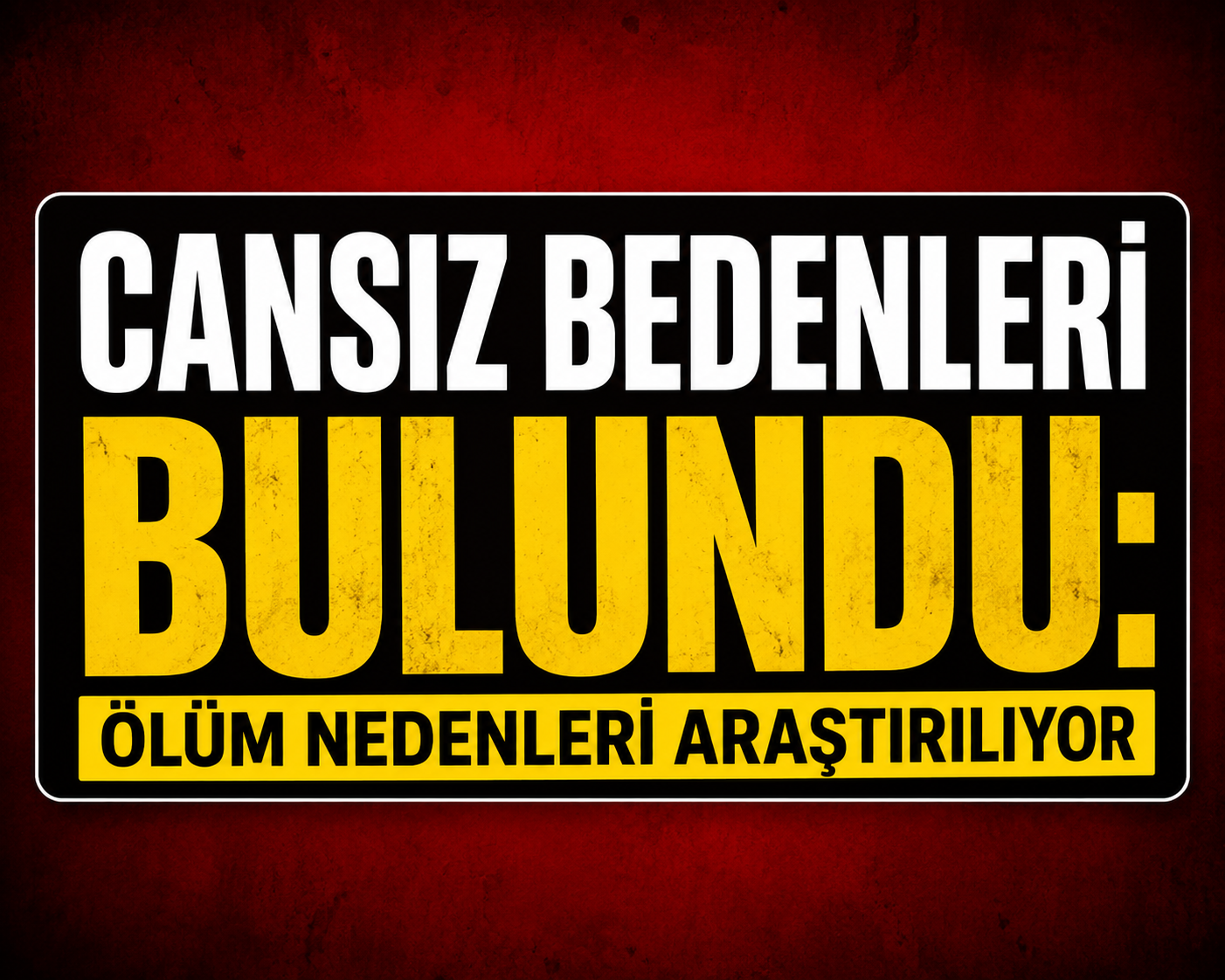 Cansız bedenleri bulundu: Ölüm nedenleri araştırılıyor