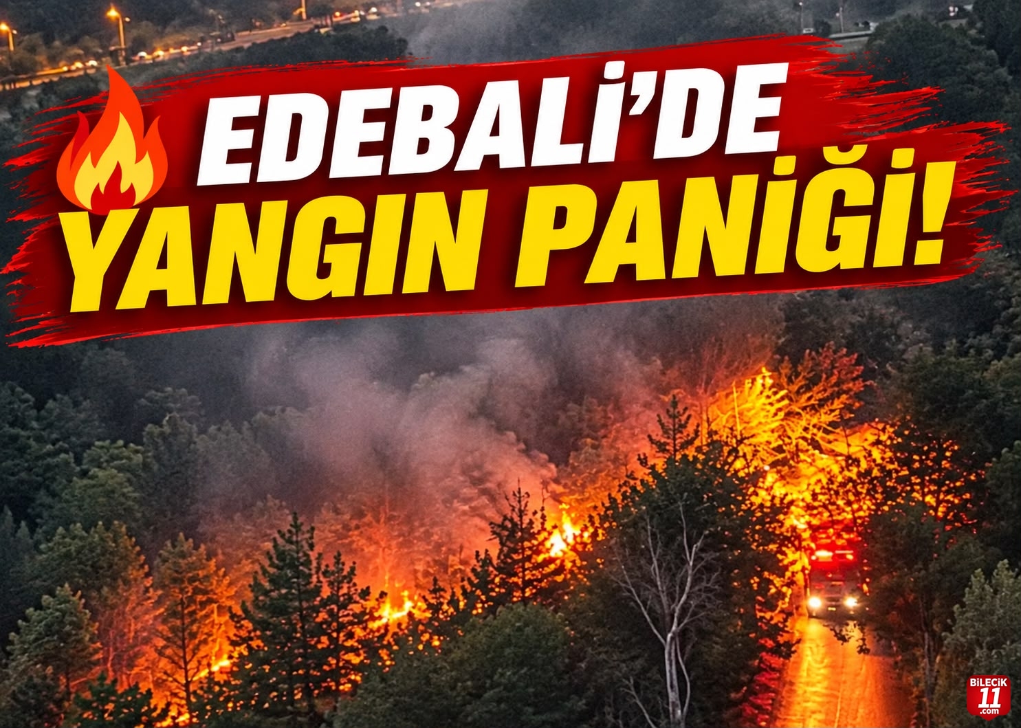 Edebali'de yangın paniği! 