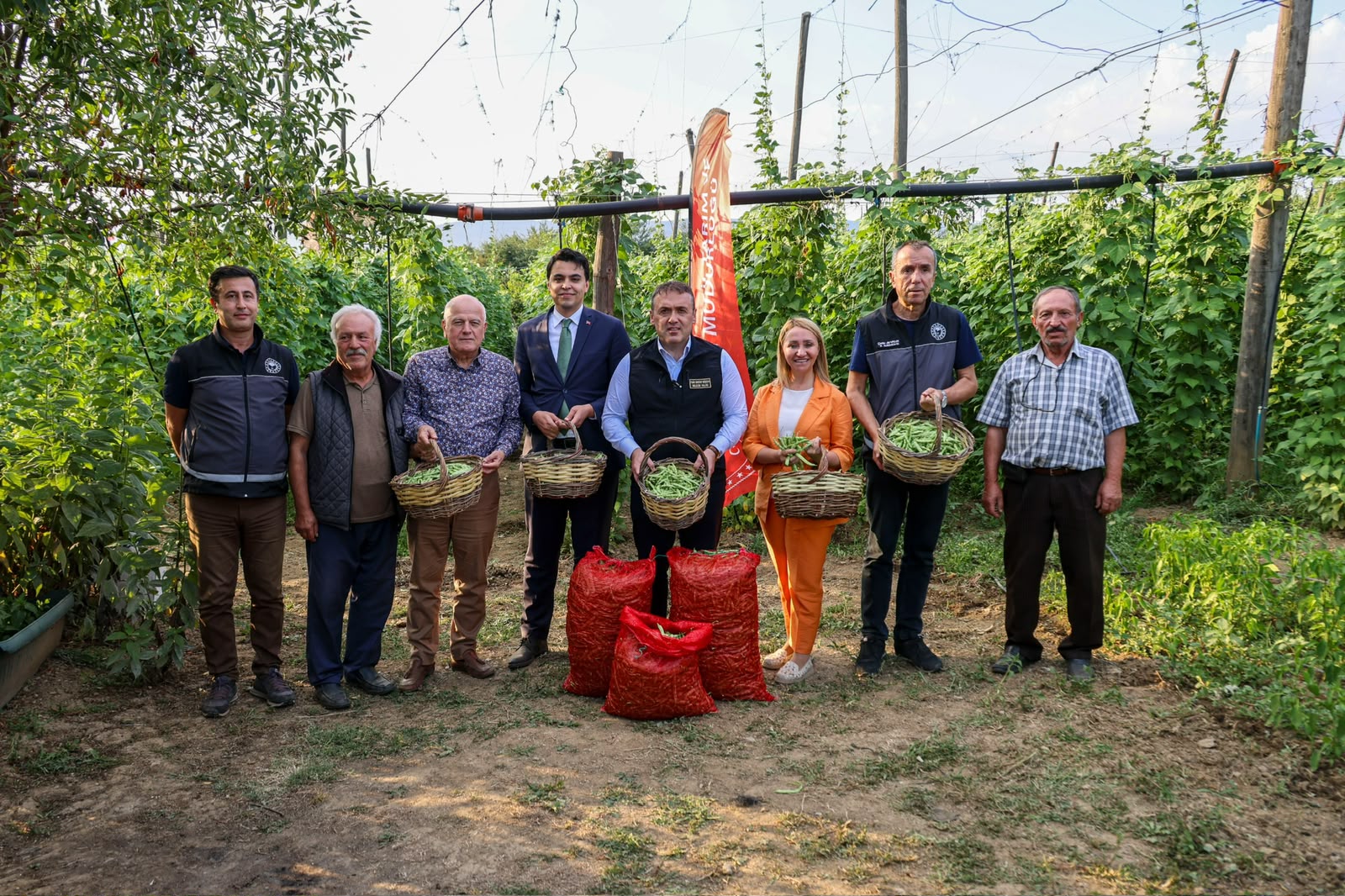 Pazaryeri Boncuğu’nda Hasat Sezonu