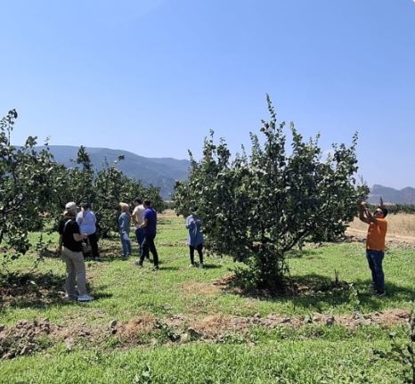 Tarımsal Üretim Alanlarında Saha Kontrolü