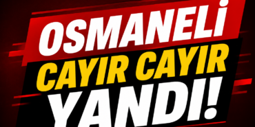 cc