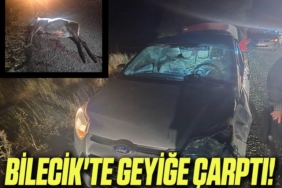 geyik