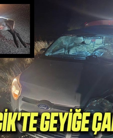 geyik