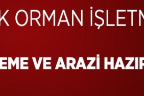 orman