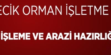 orman