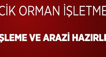 orman