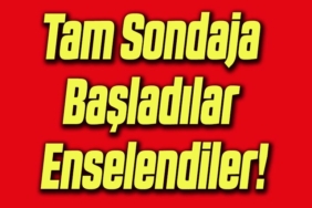 sondaj