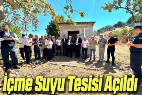 tesis