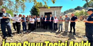 tesis