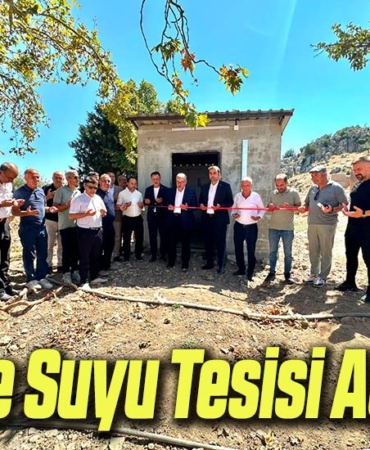 tesis