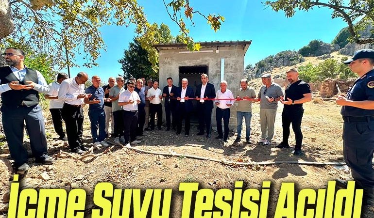 tesis
