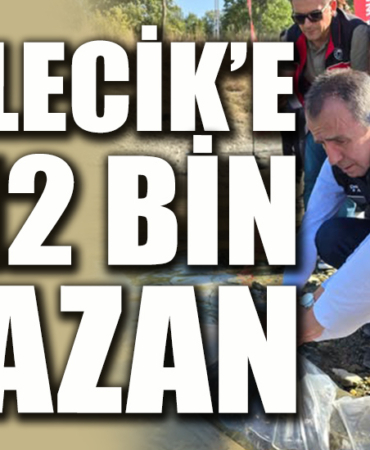 ujhrdsjırfy