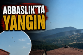 yangınn