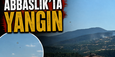 yangınn