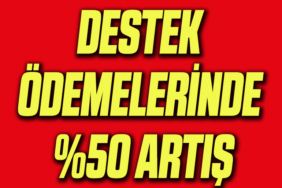 DES
