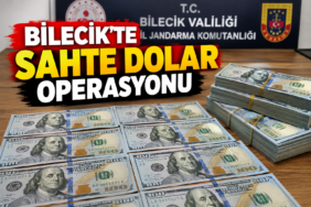 dolar
