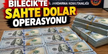 dolar