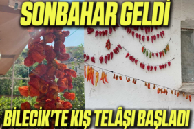 kış