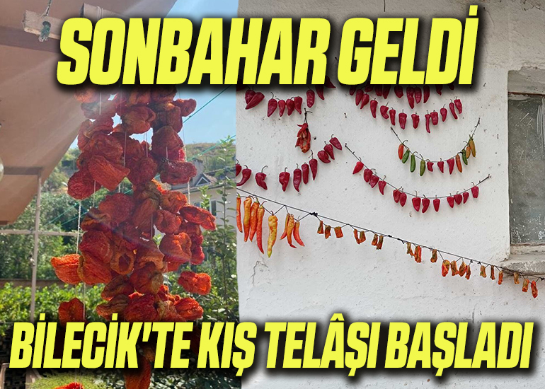 kış