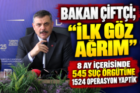 modül
