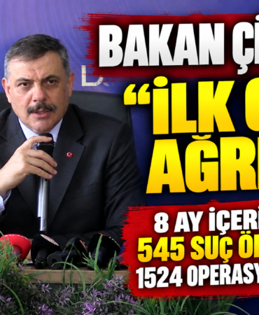 modül