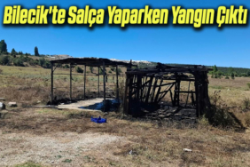 salça