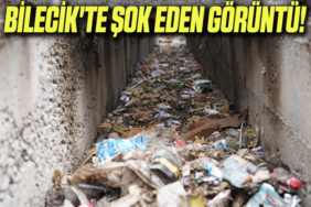 şok
