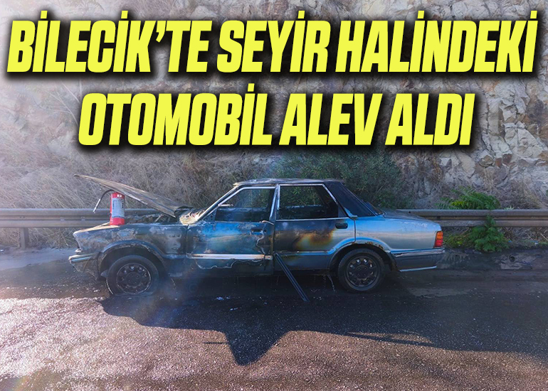 alev
