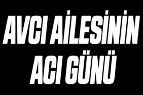 avcı