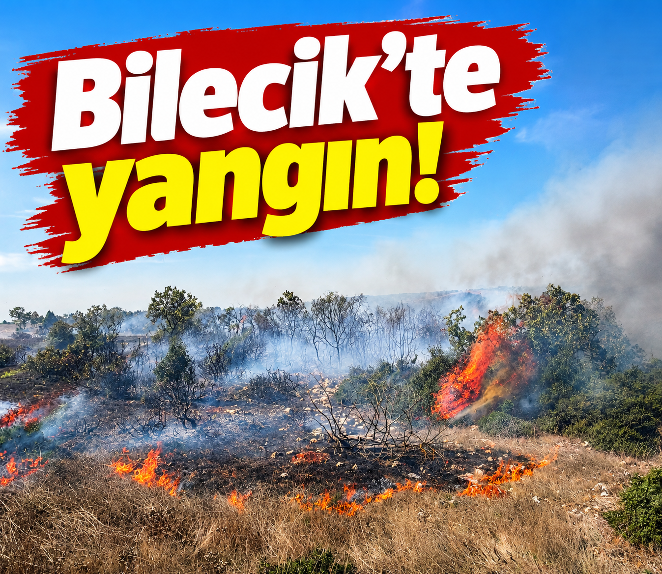 Bilecik'te yangın!