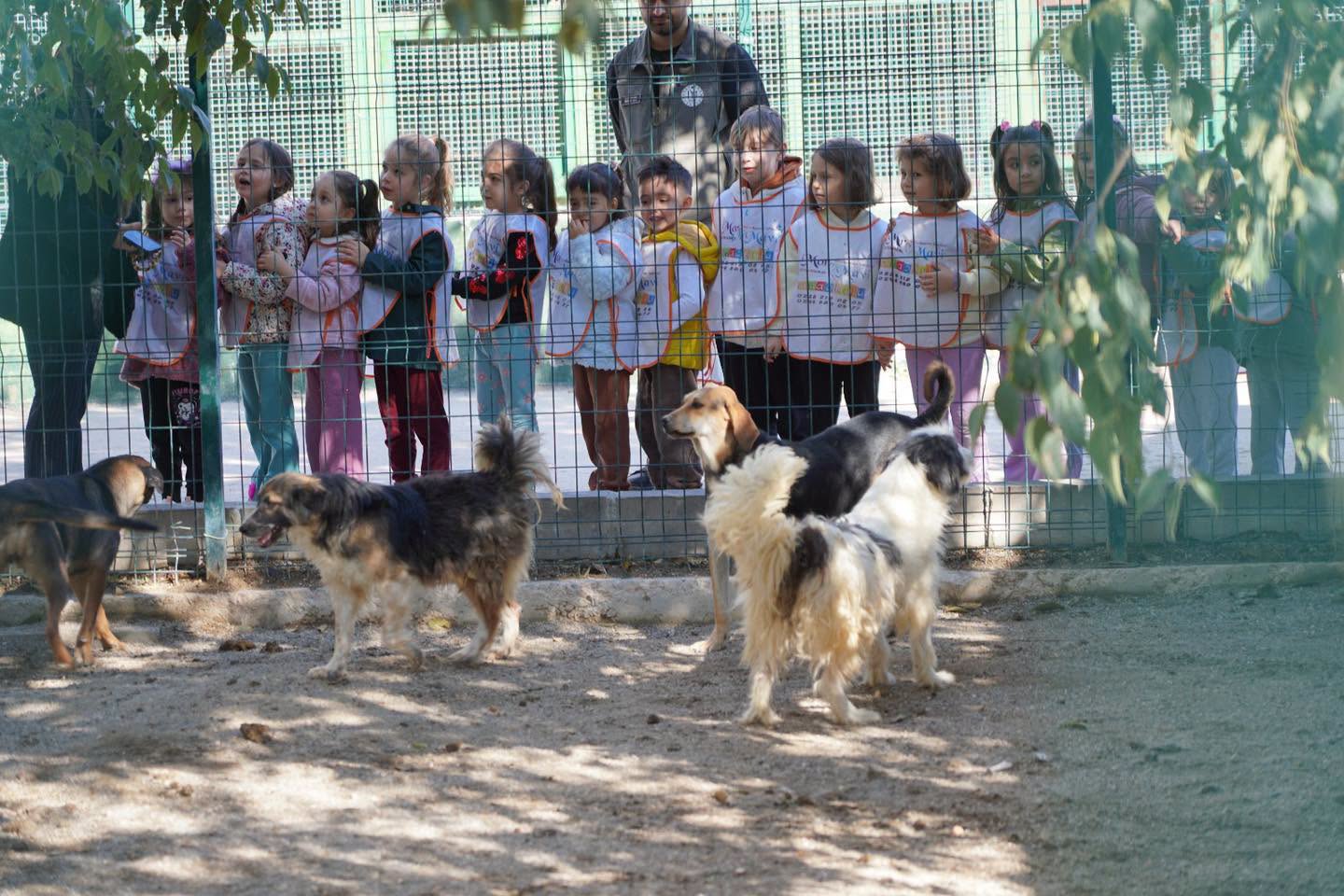 MİNİKLER CAN DOSTLARIYLA BULUŞTU