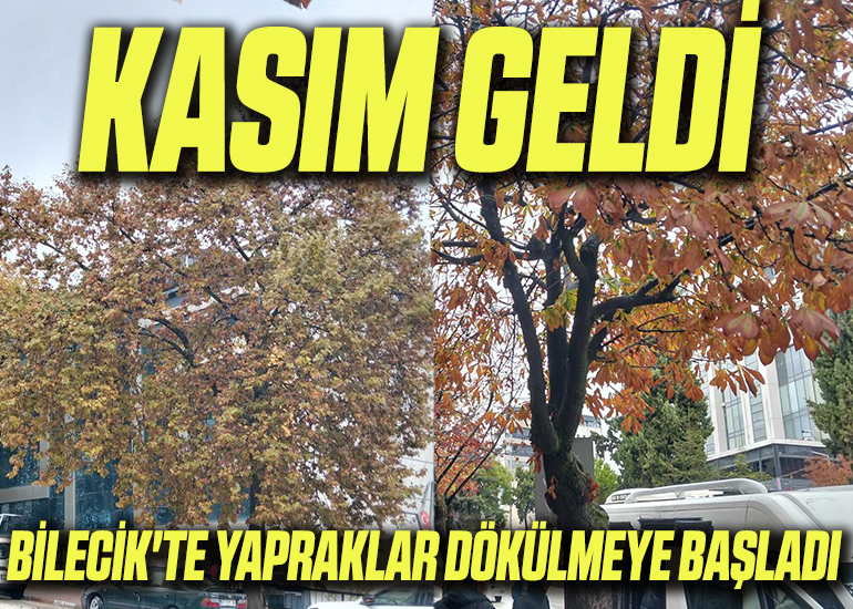 kasım